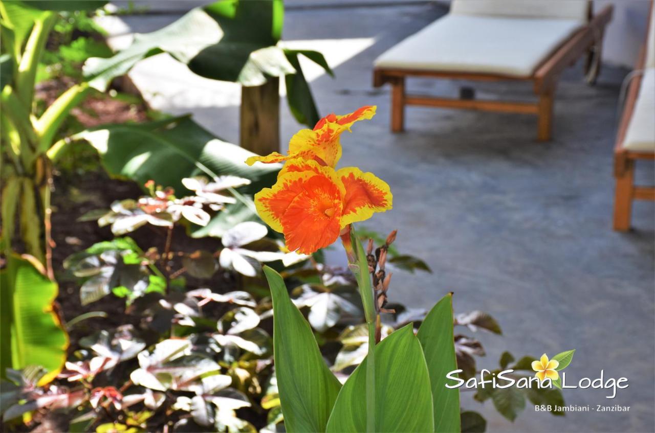 Safisana Lodge Jambiani  Buitenkant foto